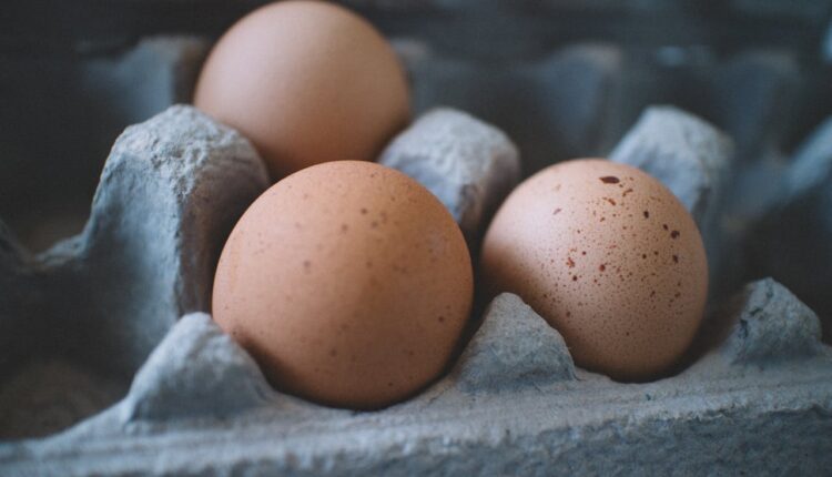 Tajna svežine: Savršen trik za proveru kvaliteta jaja