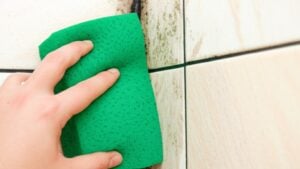 način da uklonite buđ, plesan, buđ