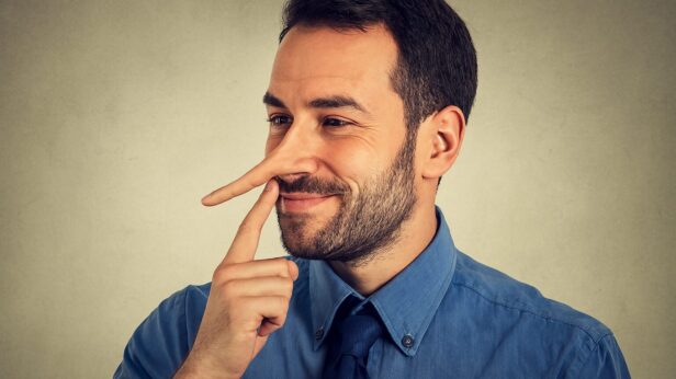 lie, manipulation, trust