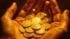 gold coins, surprise, hands