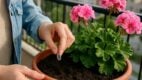 plant care, watering hack, garden surprise