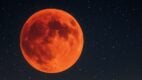 blood moon, night sky, lunar eclipse