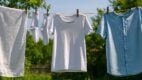 laundry, freshness, countryside